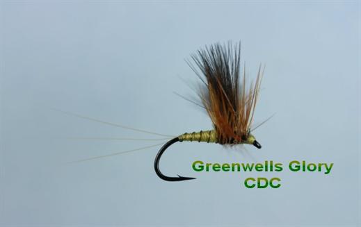 Greenwell's Glory CDC